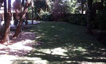 Imagem 3: Casa Comercial / Residencial para locação no Jardim das Paineiras, Campinas