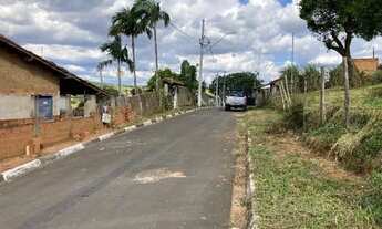 Imagem 7: Lote São Jose Mato Dentro