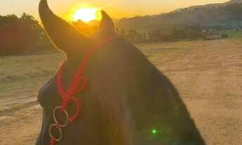 Imagem 4: Terrenos em ibiuna interior de sp