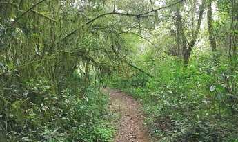 Imagem 6: Sítio no bairro Arroio Paixão em Nova Petropólis!