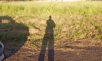 Imagem 7: Chácara a venda