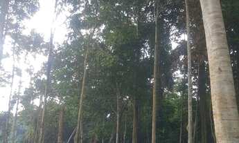 Imagem 5: Terreno Chácara com venda por R$7.500