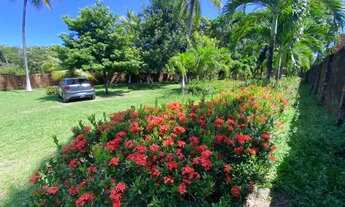 Imagem 7: Chácara de 7.500m2 na Praia da Raposa - Maranhão