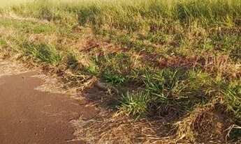 Imagem 5: Chácara a venda