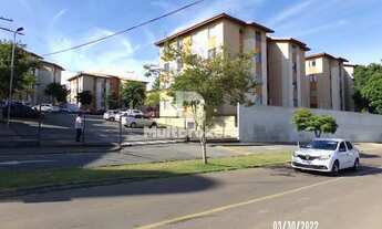 Imagem 3: SãO JOSé DOS PINHAIS - Apartamento Padrão - Zaniolo