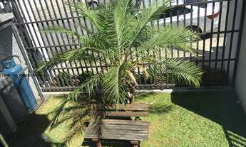 Imagem 4: Apartamento 2 dormitórios para Locação em Santo André, Vila Camilópolis, 2 dormitórios, 1