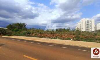 Imagem 1: Terreno (terreno normal