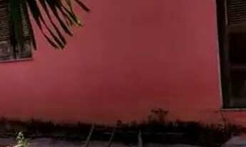 Imagem: Casa na Pindoba