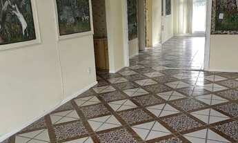 Imagem 6: Aluguel residencial/comercial