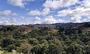 Imagem 7: Maravilhoso Lote de Terreno à Venda na Região de Descansópolis - Campos do Jordão/SP