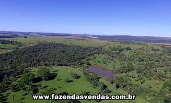 Imagem 4: Fazenda 25,5 alqueires (Corumbá de Goiás) com curral