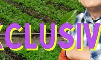 Imagem: Loteamento e Terrenos em Mairinque e Ibiúna