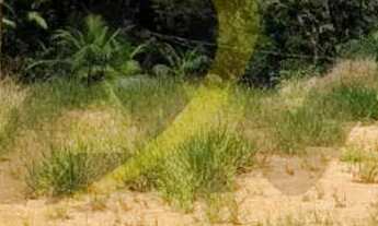 Imagem 6: CHÁCARA IGARATÁ - GRANDE TERRENO A VENDA TENDO 3.854 m2 COM LINDA PORTARIA