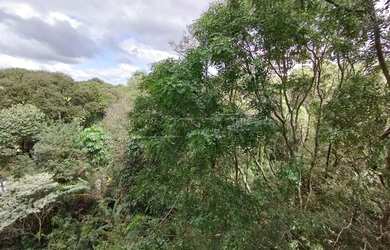 Imagem 7: Apartamento Padrão em São Carlos