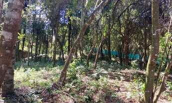 Imagem 4: Lote comercial com excelente topografia