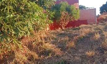 Imagem 6: Chácara a venda