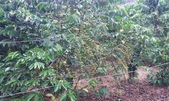 Imagem 2: Venda-se está propriedade de 4 alqueires no Município de Mimoso do Sul/ES