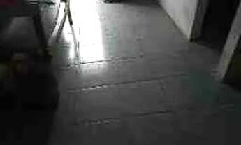 Imagem 4: Aluga-se casa Casa com 1 dormitório