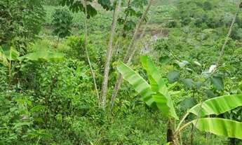 Imagem 6: Fazenda em Wenceslau Guimarães
