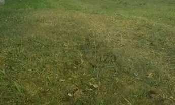 Imagem 3: Jacarei - Loteamento/Condomínio - Condominio Residencial Mirante do Vale