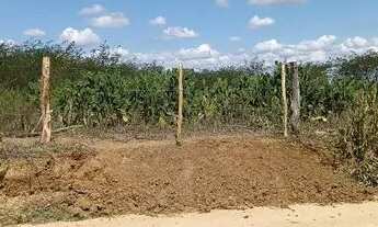 Imagem 3: Propriedade a venda 4 tarefas + palmas