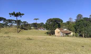 Imagem 7: Paraíso do sul Chácara com venda por R$1.550.000