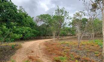 Imagem 4: Sítio 20.000m², casa de 2 quartos, poço artesiano, pomar, a 30min da Serra do Cipó
