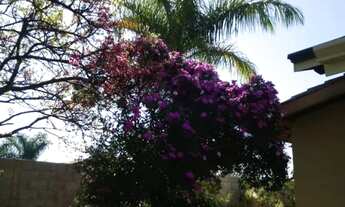 Imagem 7: Linda chácara com 1000² localizada no cobiçado Jardim Estância Brasil - Atibaia