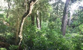 Imagem 2: Terreno de 3643.79m² no bairro Sambaqui