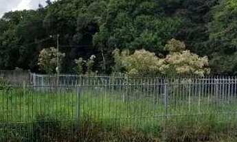 Imagem 7: Terreno à venda, 262 m² por R$ 280.000,00 - Santo Antônio - São José dos Pinhais/PR