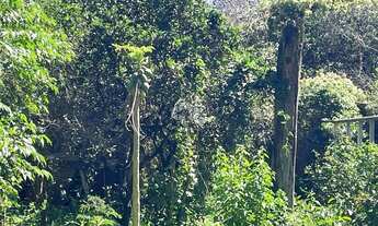 Imagem 4: Terreno com 510 m² - Bairro Estância Velha - Canoas RS