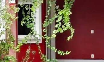 Imagem 3: RESIDENCIAL PORTUGAL - PARQUE DAS LARANJEIRAS - 1.100.000