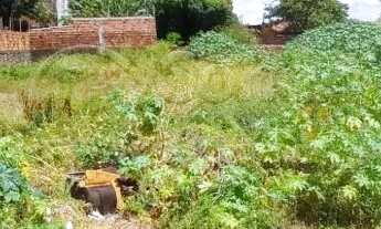 Imagem 5: Terreno em rua pública, no Bairro América. (Vizinho a empresa Limpa fossa Moderna