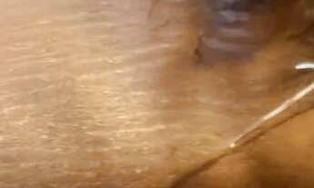 Imagem 7: Terreno com lagoa em serra azul