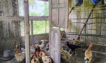 Imagem 7: FAZENDA NO CANTA NA CONFIANÇA III