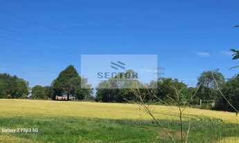 Imagem 2: Terrenos / Lotes / Condomínio em - São José dos Pinhais