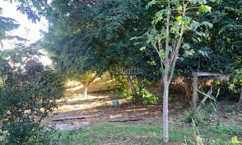 Imagem 2: Terreno - Chácara Primavera - Campinas