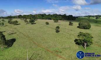 Imagem 2: Fazenda à Venda em Anicuns GO | 34 Alqueires | 28 em Lavoura