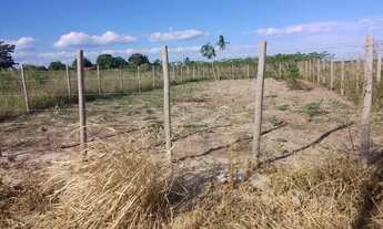 Imagem 2: Vende-se terreno em Irará