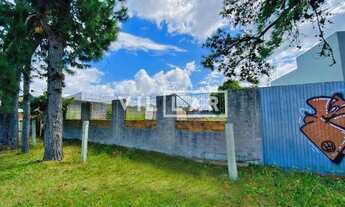 Imagem 2: TERRENO LARANJAL