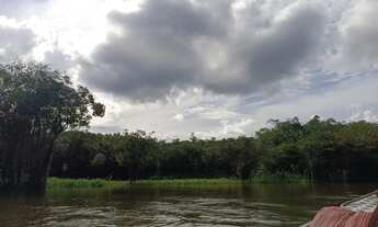 Imagem 2: Vendo sítio 600.000