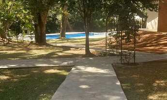 Imagem 2: Lote rosas de Leiria/estudo troca por AP