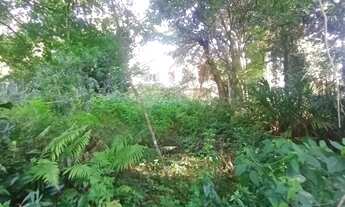 Imagem 3: Area - Bairro Planalto