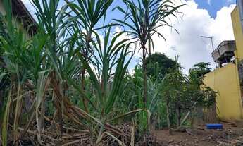 Imagem 3: Lote em Rua das Damasqueiras - Jardim Petrópolis - Cotia/SP