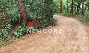 Imagem: Lote em Alameda São Paulo - San Fernando