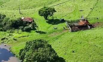 Imagem: Fazenda à Venda em Anicuns GO 34 Alqueires