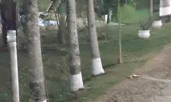 Imagem 13: Granja Familiar natal e ano novo indisponível