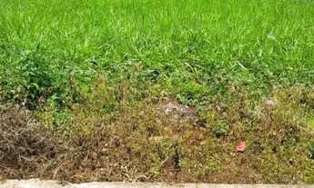 Imagem 4: Lote no residencial Paranaiba Goianira.