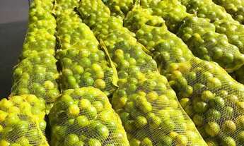 Imagem 6: Fazenda na PISTA da BR174, KM 57 com 10.360.000m2. Benfeitorias. 25 hectares de Areal. Doc