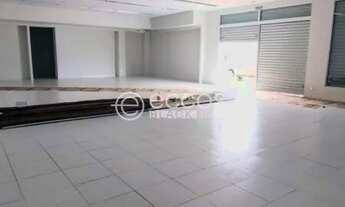 Imagem 4: Imóvel Comercial para aluguel, Novo Mundo - Uberlândia/MG